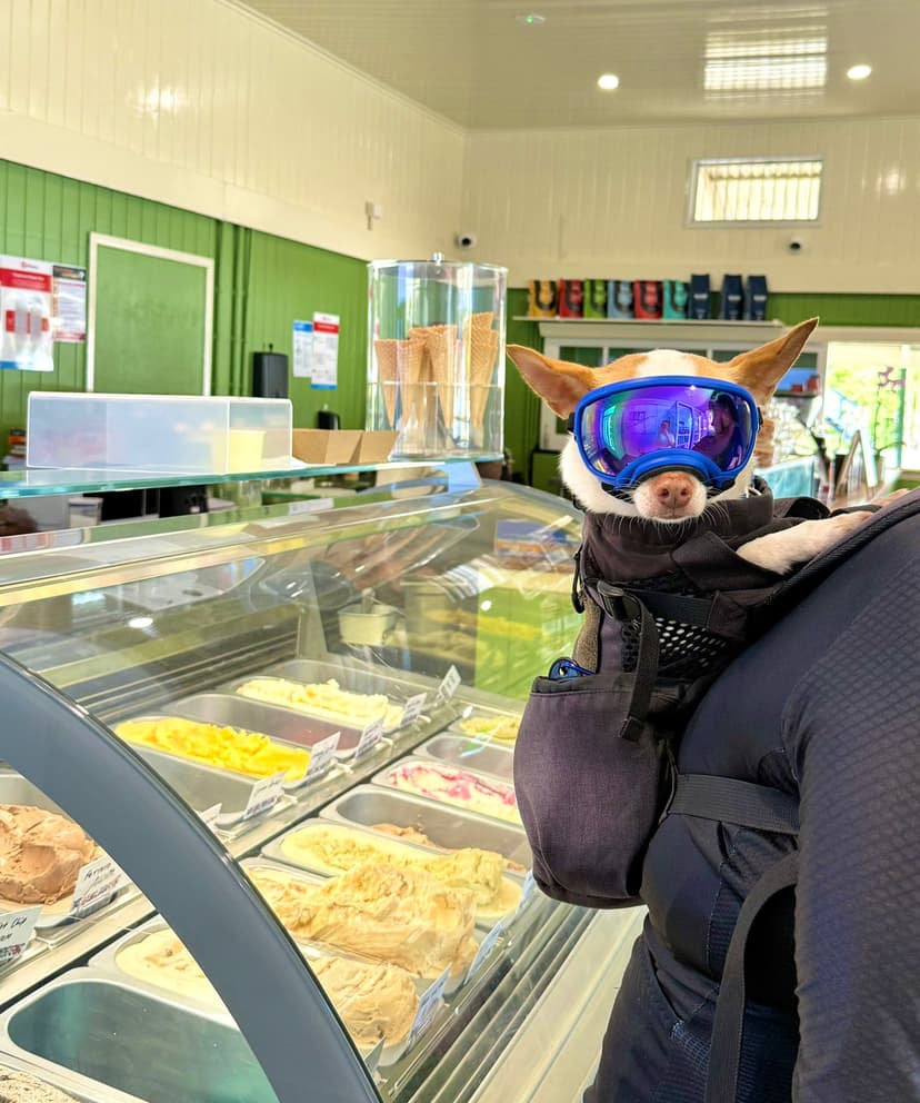 Piccolo Gelateria Gallery